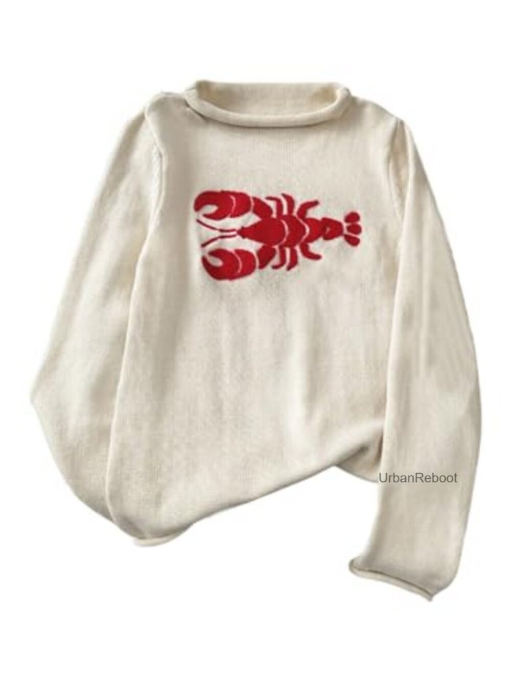 Cozy Embroidered Roll Neck Pullover Sweater Loose Knit Top Fall Outfits